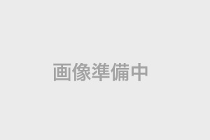 豊正丸